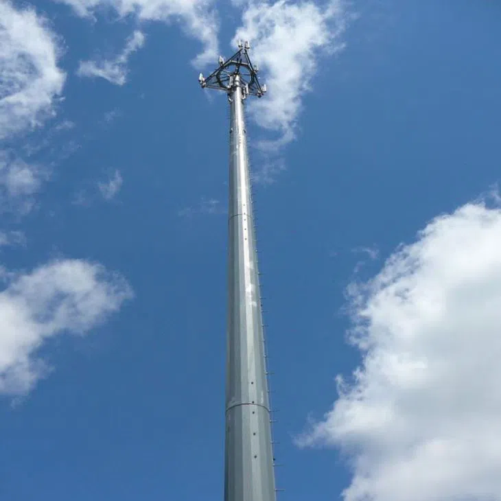 monopoles06016797803