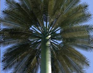 Bionic Palm Cell Tower af høj kvalitet