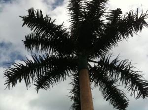 Camouflage Palm Tree Antenna Telekommunikationstårn