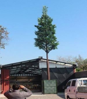 Camouflage Stål Antenne Mobiltelefon skjult struktur Bionic Pine Tower